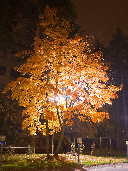 Uudenmaankatu 2:n piha